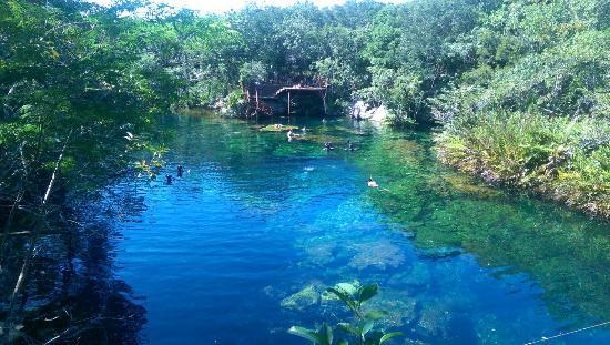 Jardin Del Eden Cenote